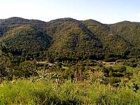 HWY_119_@_CALLOWAY.jpg